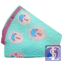 Gövde Yapısı Modeli