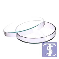 Petri Kutusu Cam 100 mm