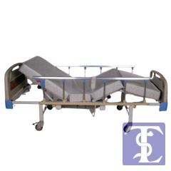 2 Motorlu Metal Korkuluklu Lüks Hasta Yatağı