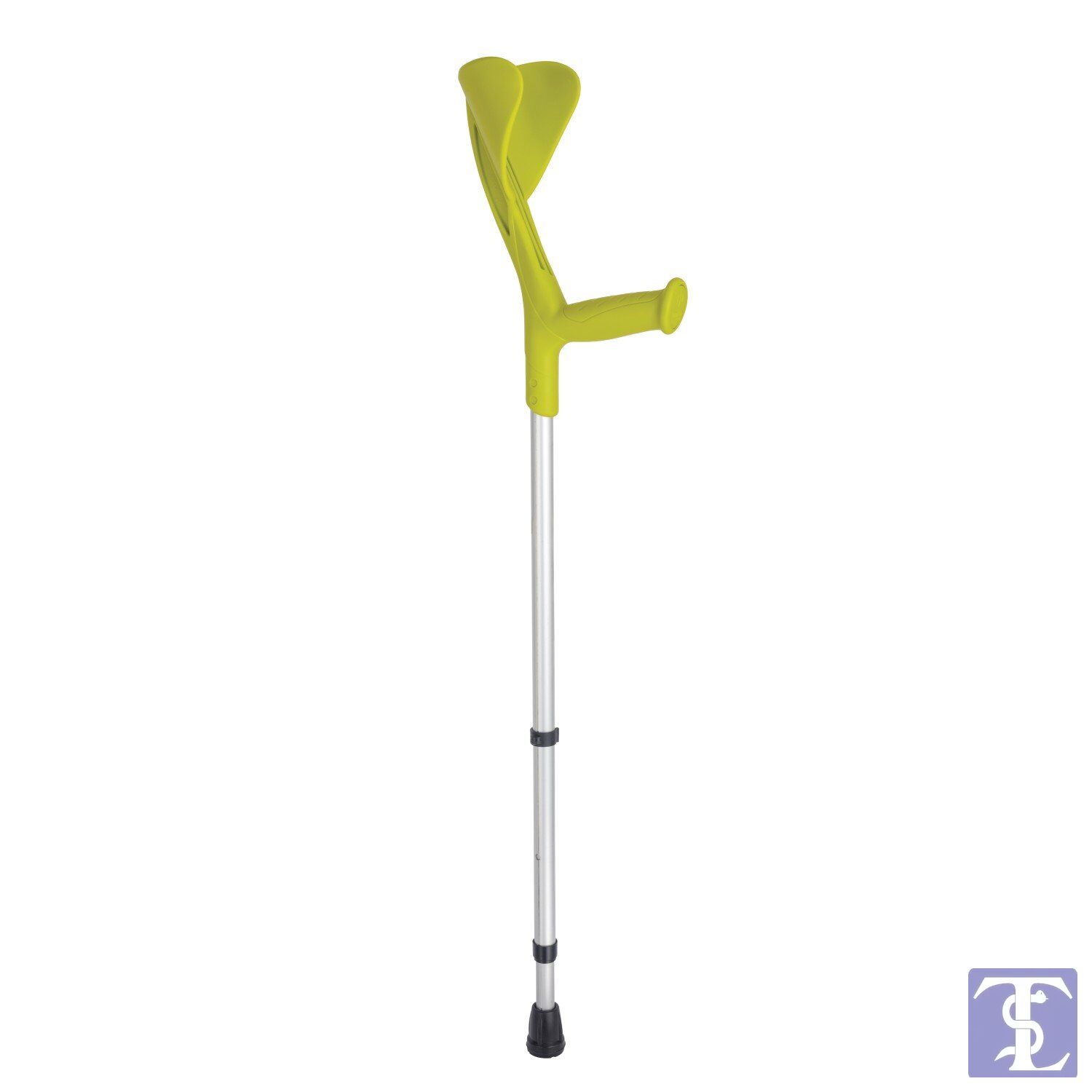 EVOLUTİON KANADYEN ANASON