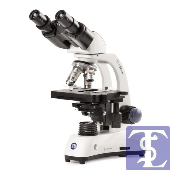 Euromex EcoBlue Serisi Dik (Upright) Tip Başlangıç Seviye Eğitim Mikroskop
