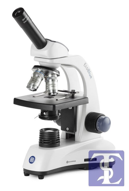 Euromex EC.1101 EcoBlue Yağ İmersiyonlu Monoküler Mikroskop