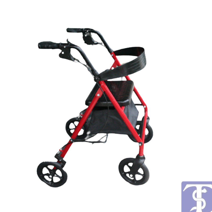 POYLİN P580 EKONOMİK ROLLATÖR YERLİ