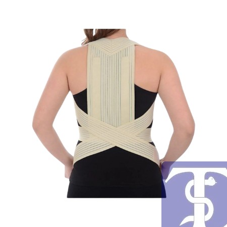 LYON LS330K2 DORSOLOMBER KORSE-BEDENSİZ