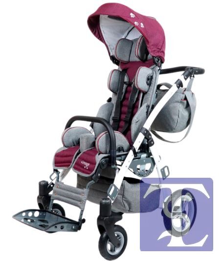 Mywam Grizzly Engelli Çocuk Puseti﻿