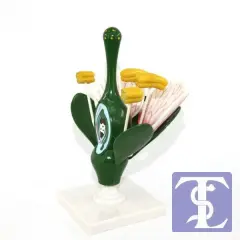 Çiçek Kesiti Modeli