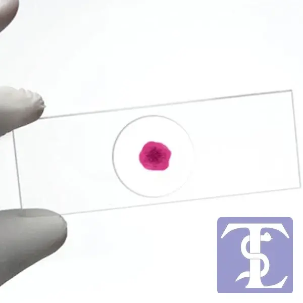 Lam Çukur 1 Gözlü