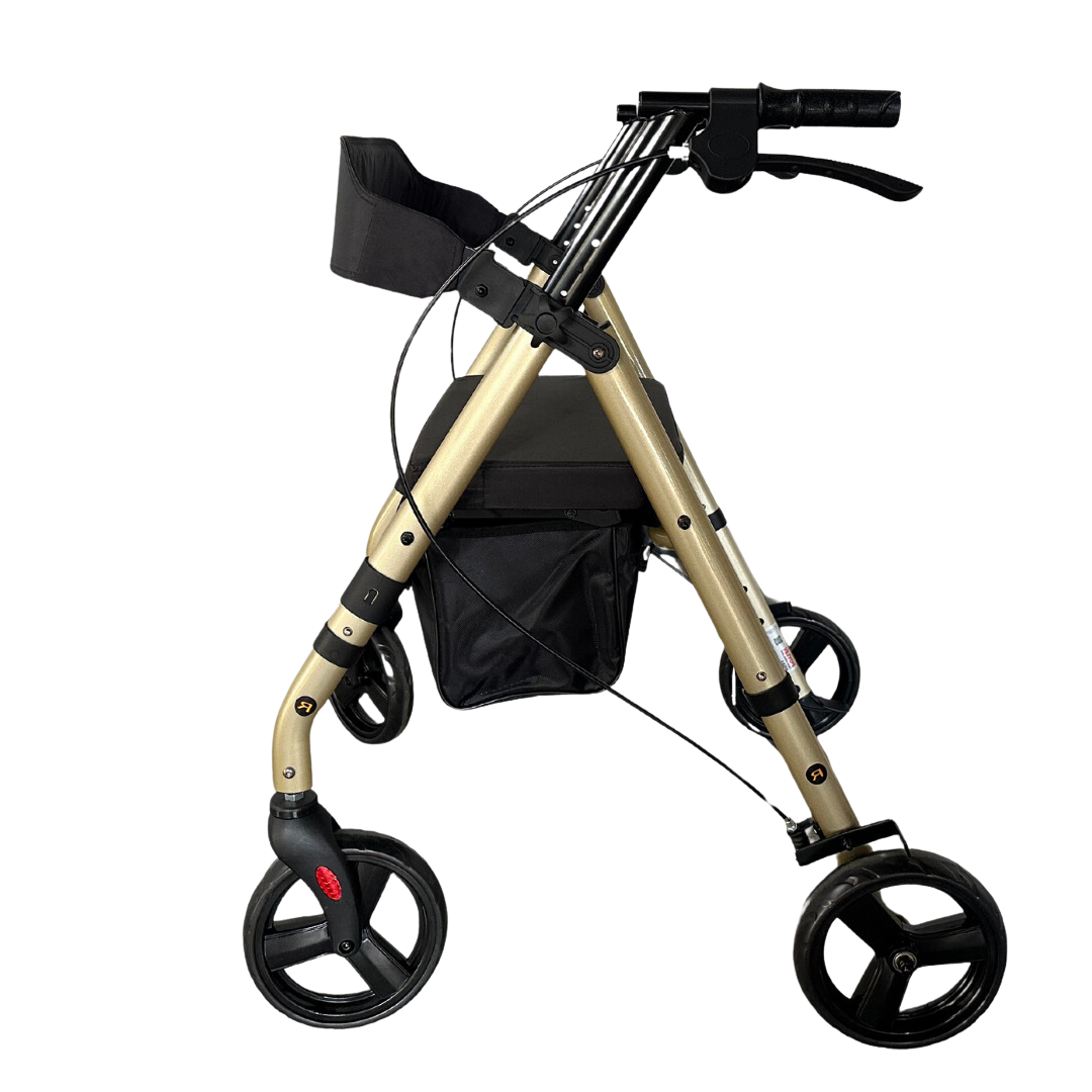 Champagne Siyah Teker